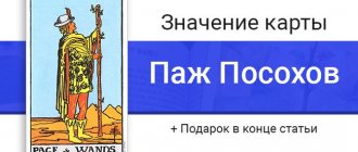 Баннер для статьи о значениях карты Таро Пажа Посохов (Жезлов)