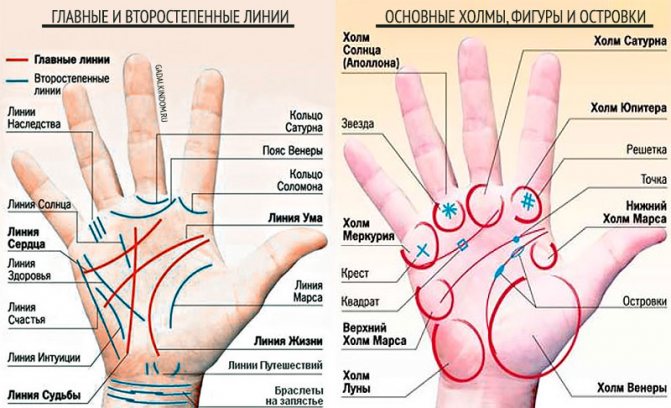 Хиромантия линии