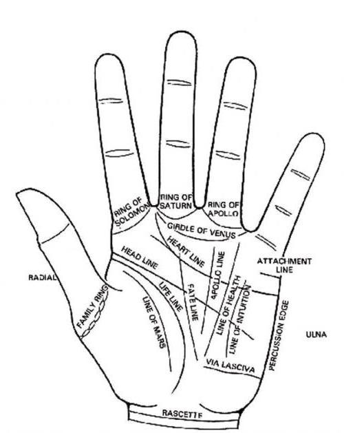 хиромантия линия жизни на руке