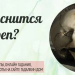 К чему снится череп