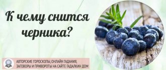 К чему снится черника